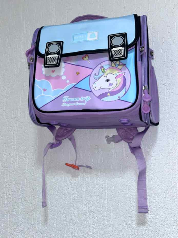 Sac Dream trip violet